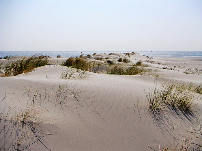 Dünen am Hafen