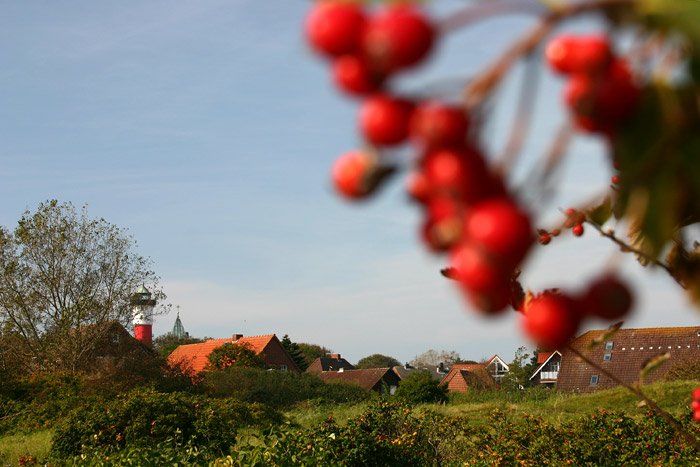 Am Rande der Siedlerstraßen-Dünen