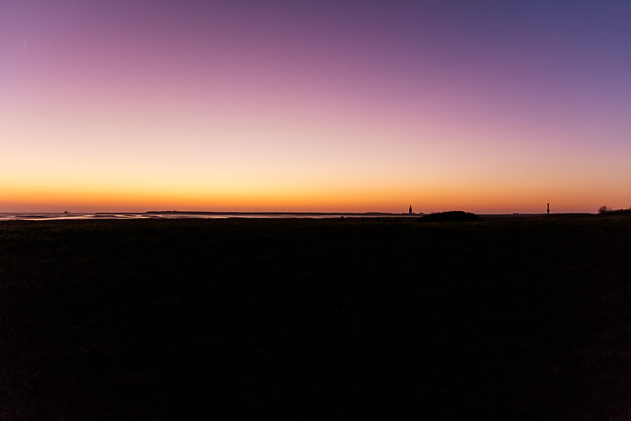 Abendliches Deichvorland