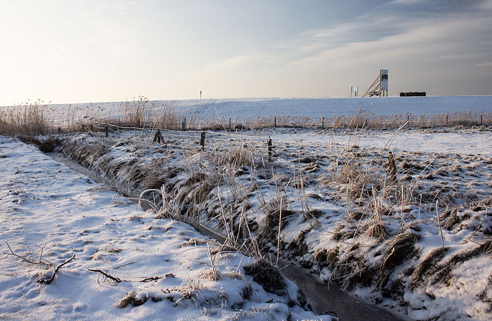 Verschneite Weiden im Dorfgroden