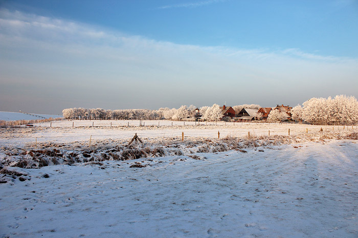 Winterliche Weiden im Dorfgroden