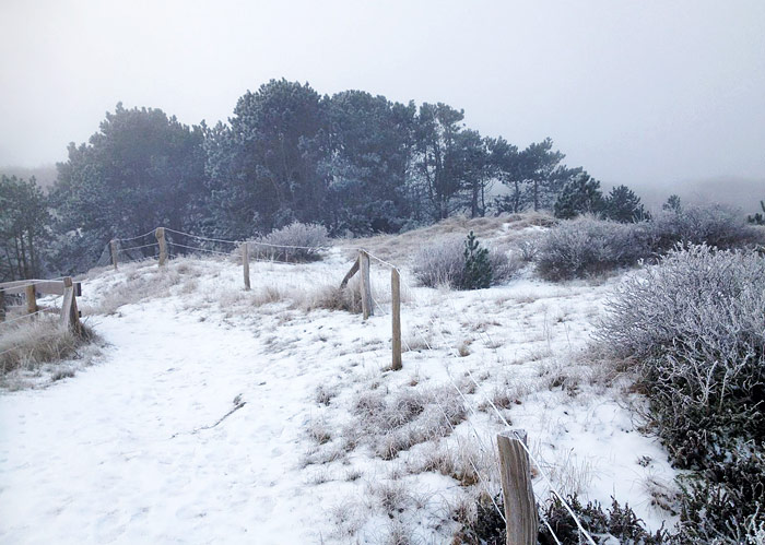 Dünenüberwegung bei Nebel und Eis