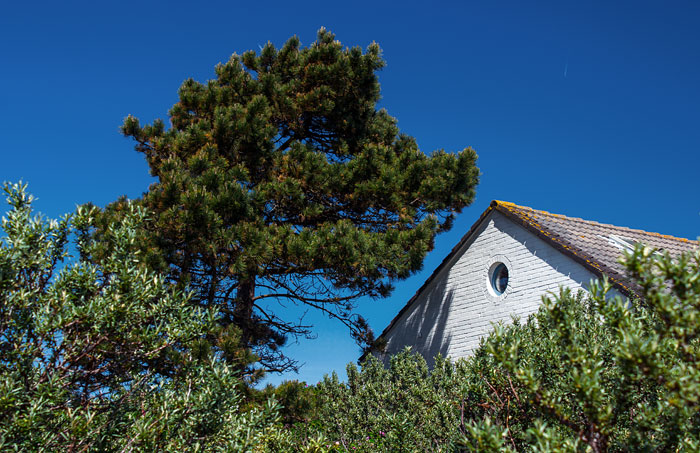 Haus am Wattenmeer