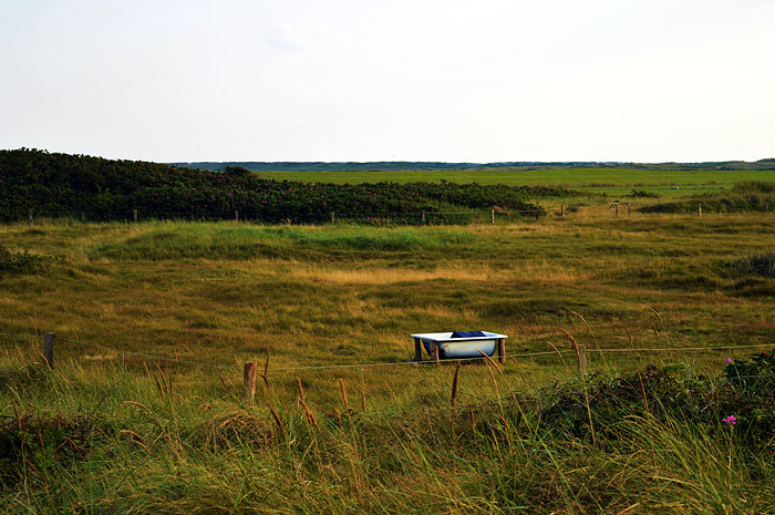 Westinnengroden