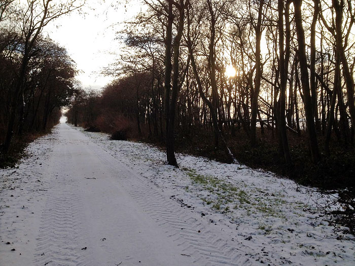 Verschneite Straße zum Osten