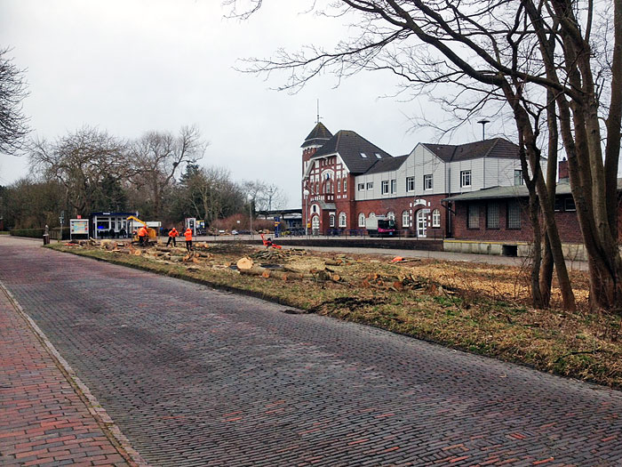 Niobeplatz nach den Rodungsarbeiten