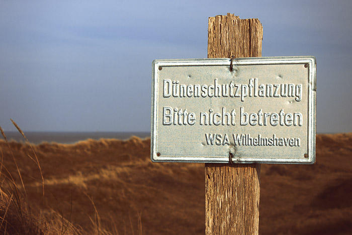 Dünenschutzpflanzung, bitte nicht betreten