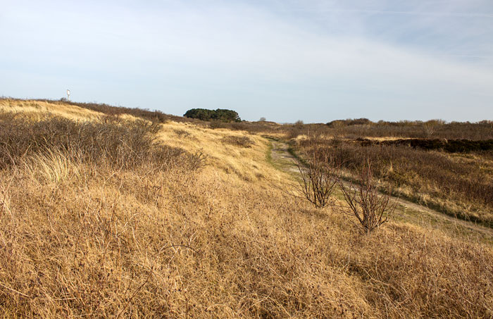 Dünenweg im Osten