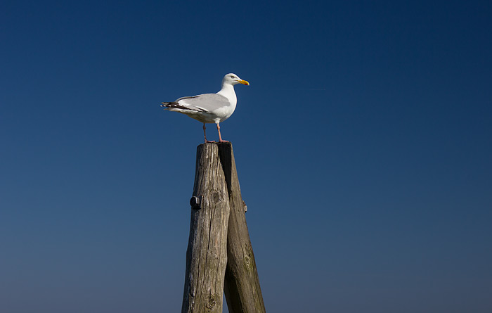 Gute Aussicht