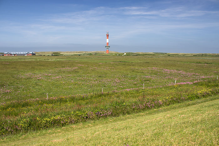 Westinnengroden im Frühsommer
