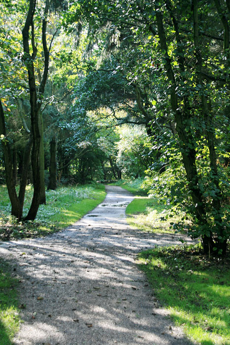 Teichgarten