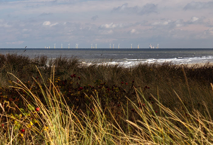 Blick zum Windpark Nordergründe