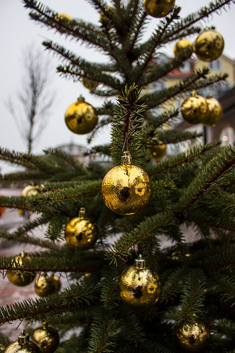 Weihnachtsbaum in der Zedeliusstraße