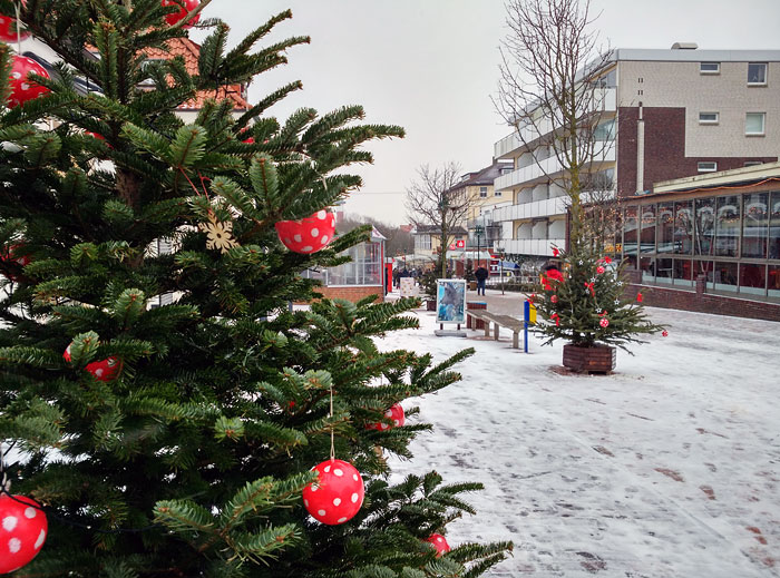 Zedeliusstraße im Winter