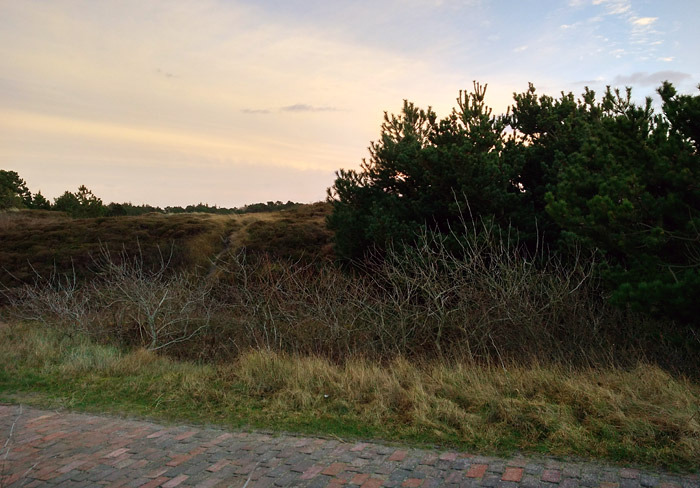 Dünen am Fußweg zum Westen