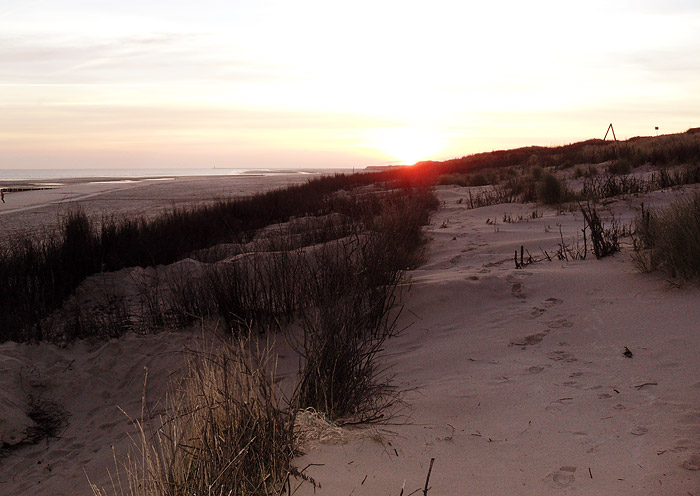 Sonnenaufgang in den Ostdünen