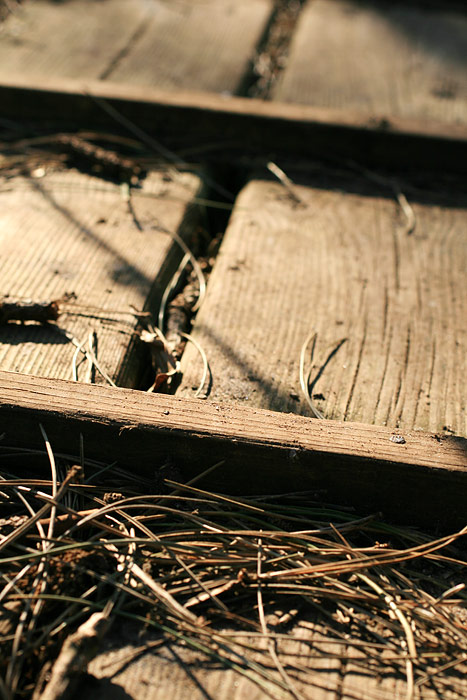 Holzsteg zum Schulwäldchen