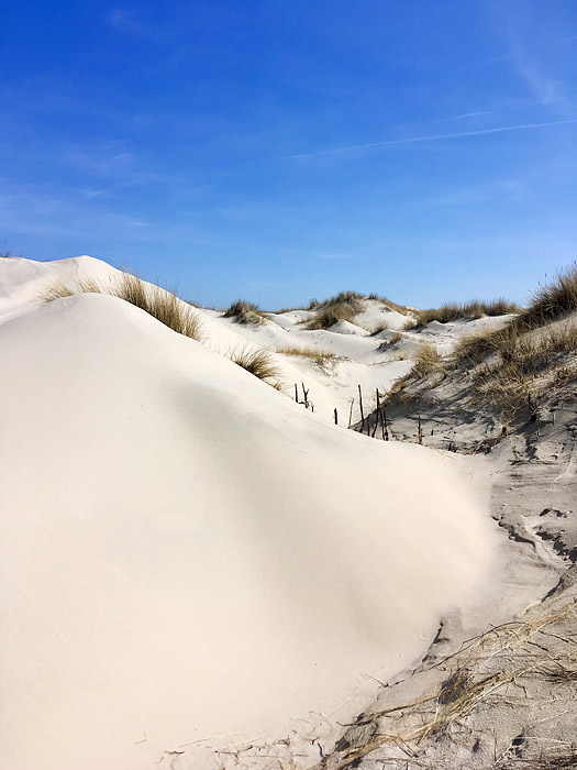 Dünen im Osten