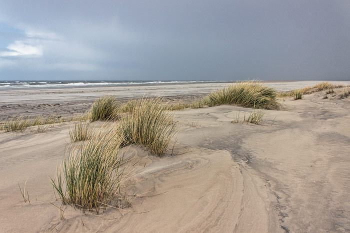 Vordünen im Osten