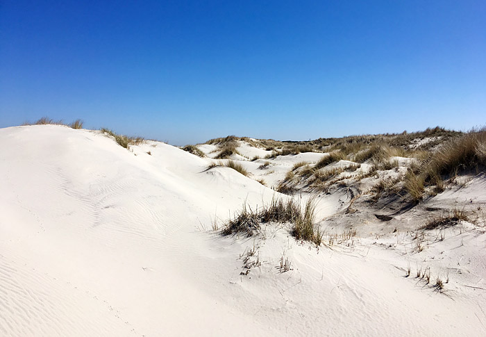 Vordünen im Osten