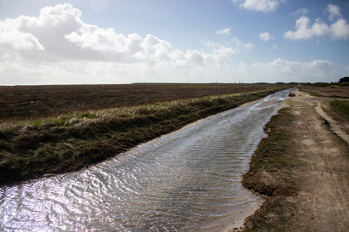 Land unter