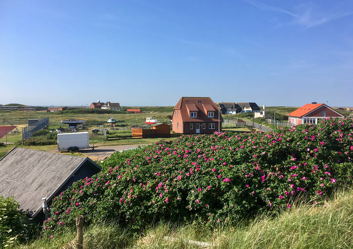 Blick aufs Westdorf