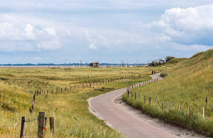 Auf dem Weg zum Anleger