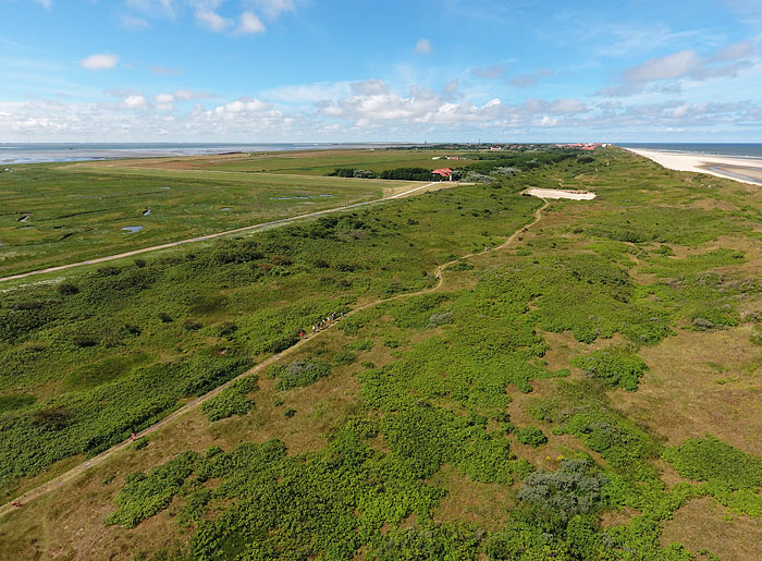Dünenweg im Osten