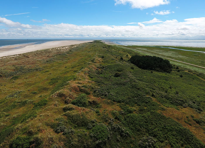 Dünenkette im Osten