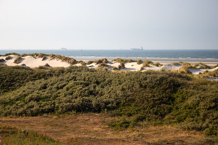 Nordostdünen