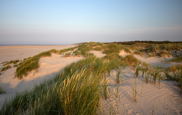 Primärdünen im Osten