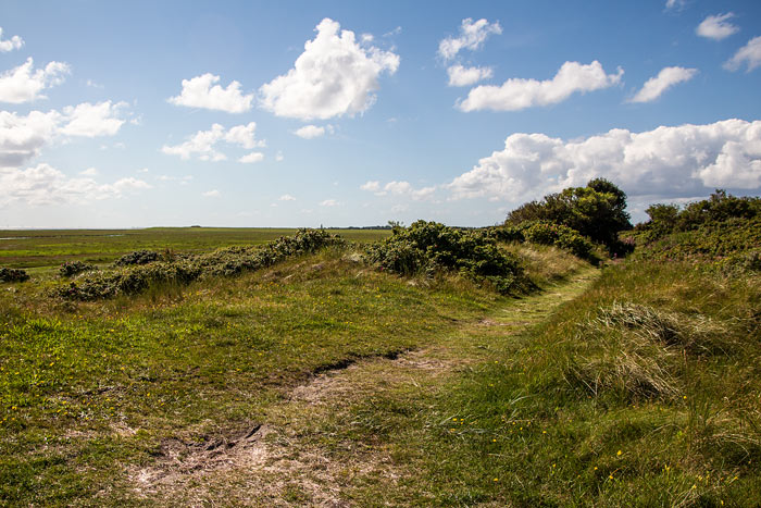 Dünenweg im Osten