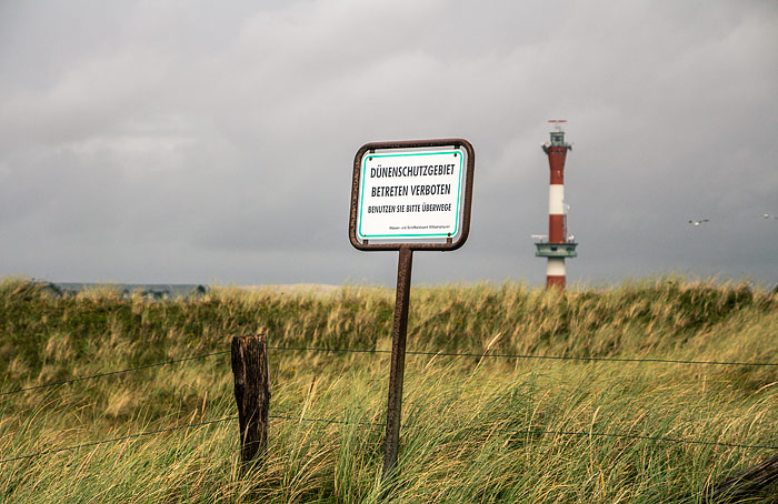 Dünenschutzgebiet im Westen