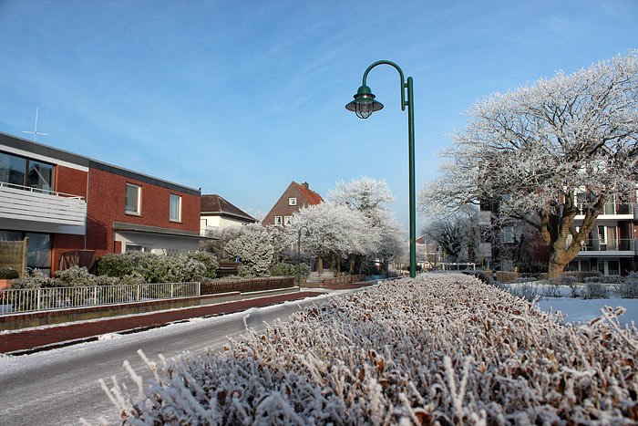 Zedeliusstraße im Winter