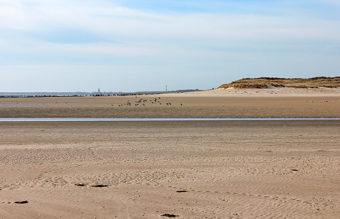 Oststrand und -dünen