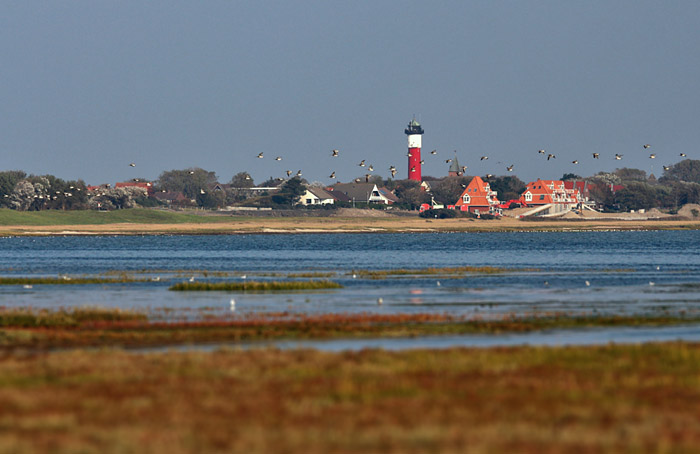 Salinebucht bei Hochwasser