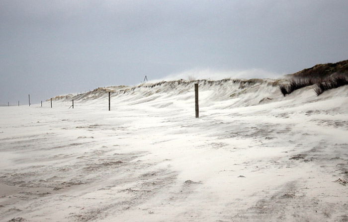 Sandwehen am Oststrand