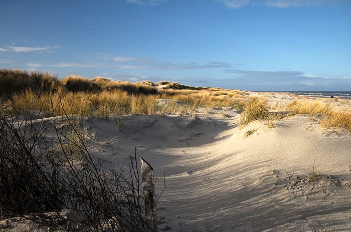 Vordünen im Osten