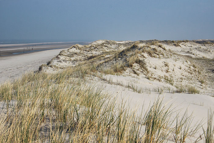 Nordostdünen
