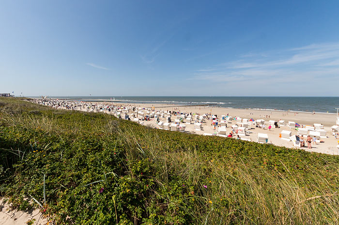 Blick aufs Westfeld