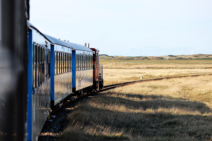 Inselbahnfahrt durch die Salzwiesen