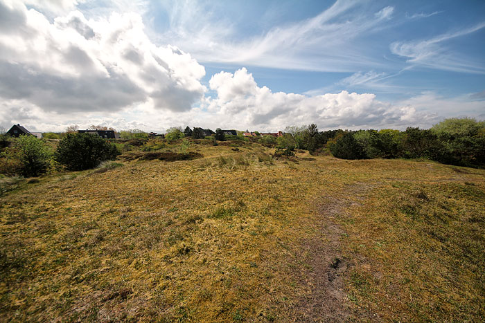 Osterdünen im Frühsommer