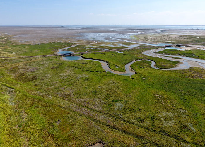 Lagune im Westaußengroden