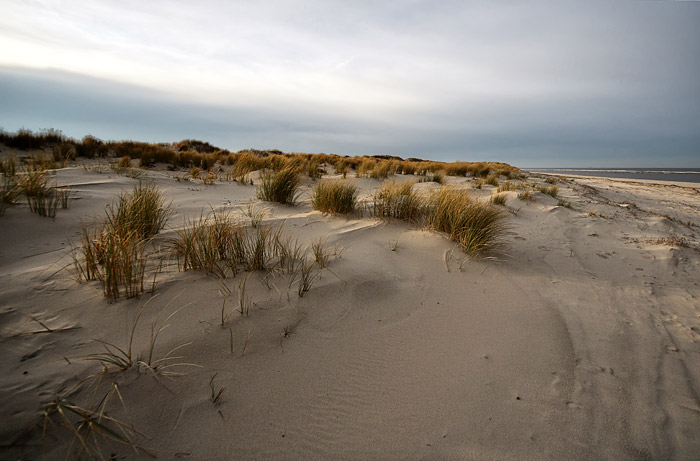 Vordünen im Osten