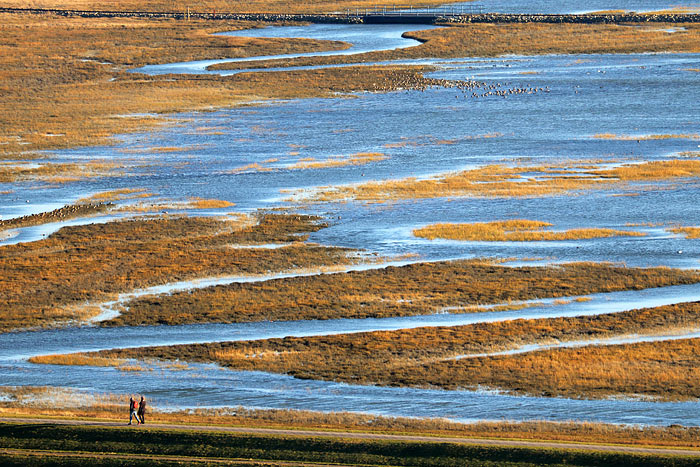 Lagune im Westaußengroden
