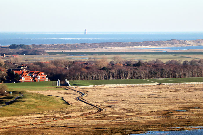 Salzwiesen des Süderhellers