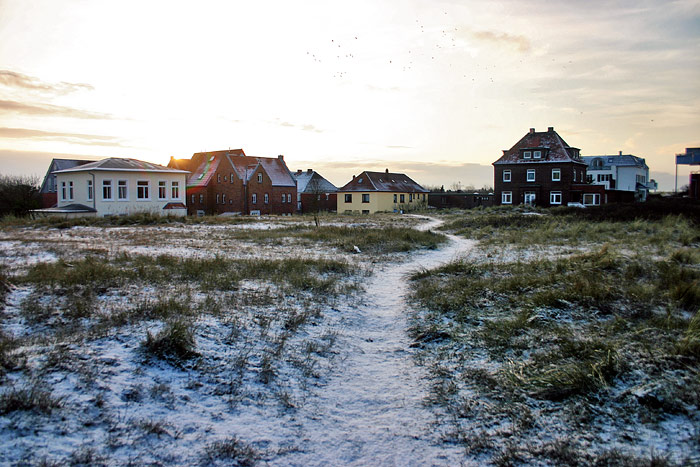 Polizeiwiese im Winter
