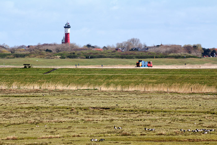 Blick in Richtung Süddeich und Dorf