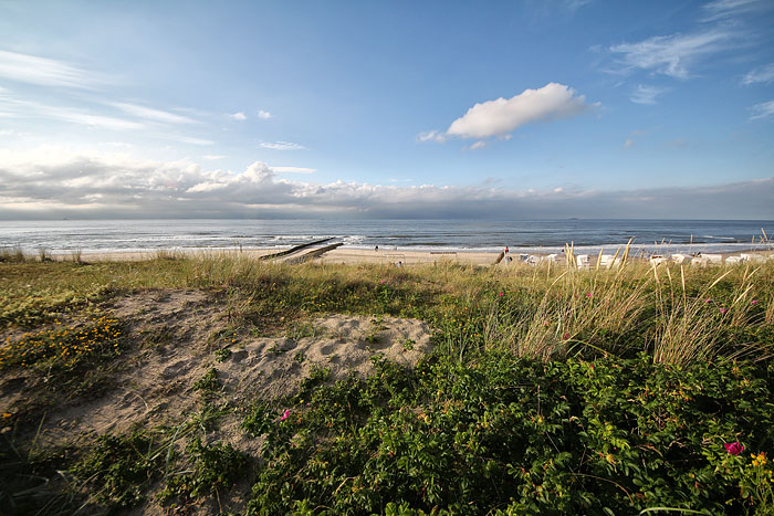 Norddünen und Strand