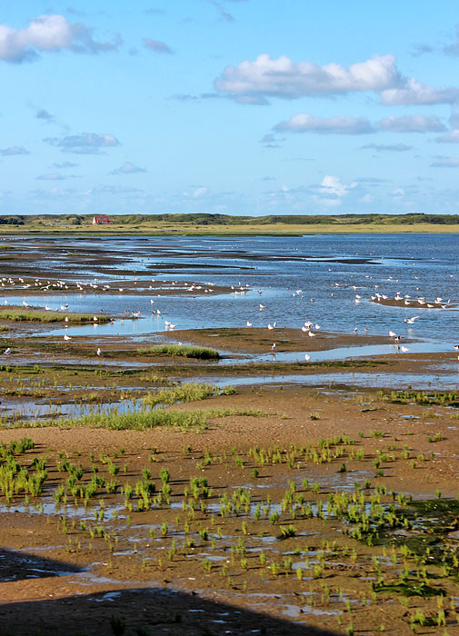 Salinebucht